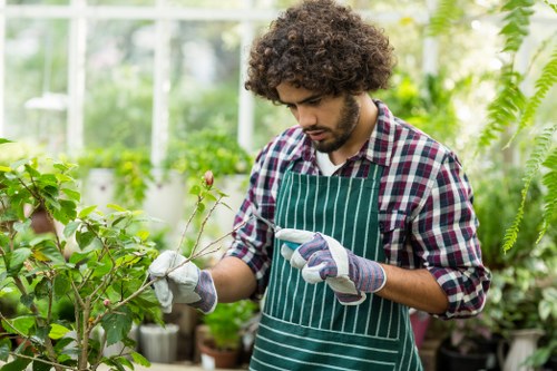 Marketing and cookie preference settings for a local arborist site