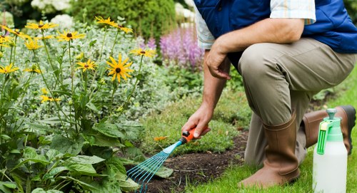 Professional stump grinding work near a Newham driveway