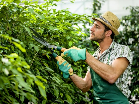 Analytics and performance monitoring on a tree surgery website