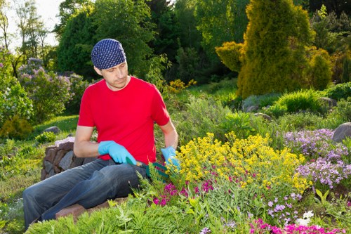 Local hedge maintenance for a boundary hedge in Newham