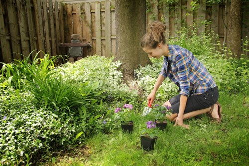 Inspection stage of a tree surgery complaint process