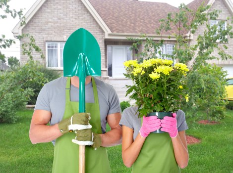 Professional tree pruning and crown shaping in Newham